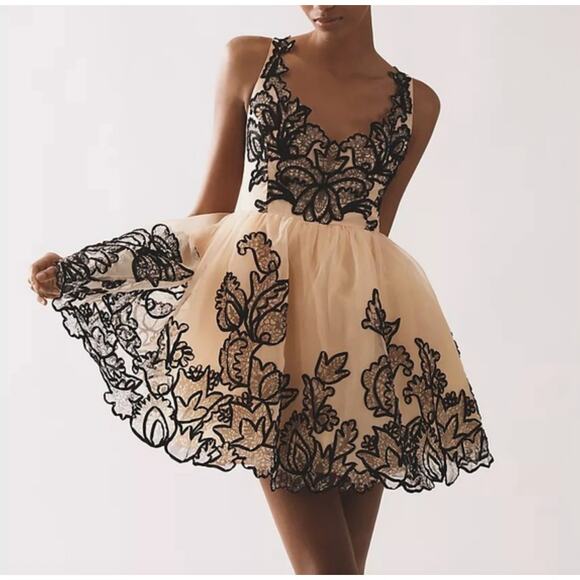 Maeve Sleeveless V-Neck Lace Fit & Flare Mini Dress Size 8 - Picture 1 of 4